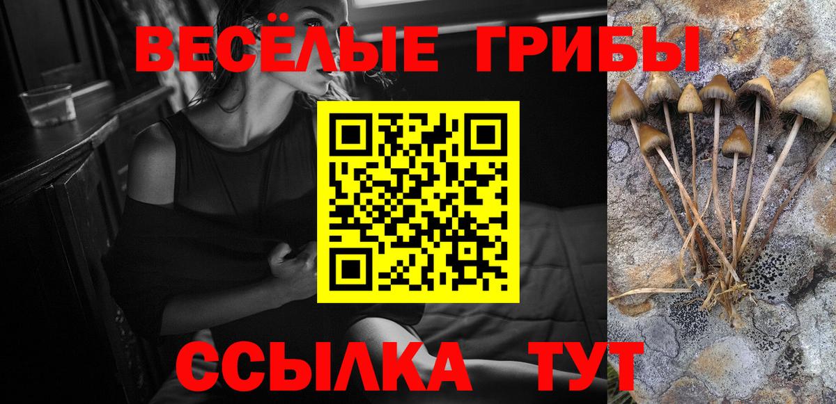 Галлюциногенные грибы прущие грибы Минеральные Воды