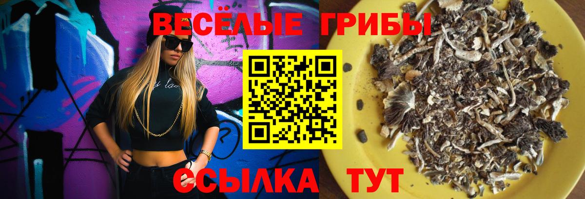 Минеральные Воды  Галлюциногенные грибы прущие грибы  Вход с VPN  Псилоцибиновые грибы прущие грибы 